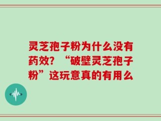 灵芝孢子粉为什么没有药效？“破壁灵芝孢子粉”这玩意真的有用么