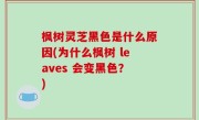 枫树灵芝黑色是什么原因(为什么枫树 leaves 会变黑色？)