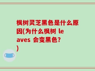 枫树灵芝黑色是什么原因(为什么枫树 leaves 会变黑色？)