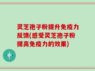 灵芝孢子粉提升免疫力反馈(感受灵芝孢子粉提高免疫力的效果)