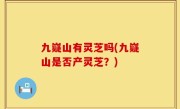 九嶷山有灵芝吗(九嶷山是否产灵芝？)