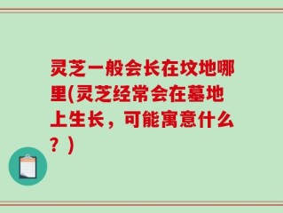 灵芝一般会长在坟地哪里(灵芝经常会在墓地上生长，可能寓意什么？)