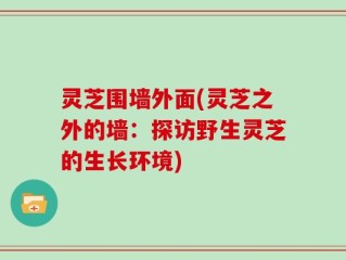 灵芝围墙外面(灵芝之外的墙：探访野生灵芝的生长环境)