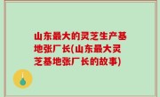 山东最大的灵芝生产基地张厂长(山东最大灵芝基地张厂长的故事)
