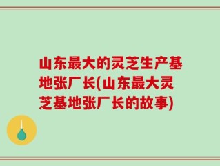 山东最大的灵芝生产基地张厂长(山东最大灵芝基地张厂长的故事)