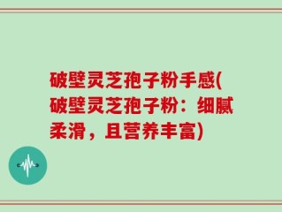 破壁灵芝孢子粉手感(破壁灵芝孢子粉：细腻柔滑，且营养丰富)