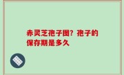 赤灵芝孢子图？孢子的保存期是多久