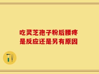 吃灵芝孢子粉后腰疼 是反应还是另有原因