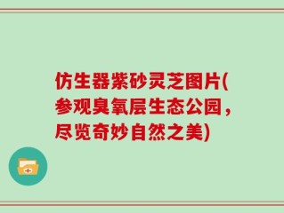 仿生器紫砂灵芝图片(参观臭氧层生态公园，尽览奇妙自然之美)
