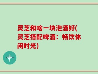 灵芝和啥一块泡酒好(灵芝搭配啤酒：畅饮休闲时光)