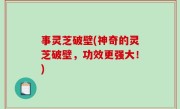 事灵芝破壁(神奇的灵芝破壁，功效更强大！)