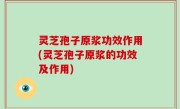 灵芝孢子原浆功效作用(灵芝孢子原浆的功效及作用)