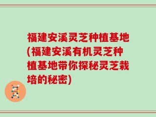 福建安溪灵芝种植基地(福建安溪有机灵芝种植基地带你探秘灵芝栽培的秘密)