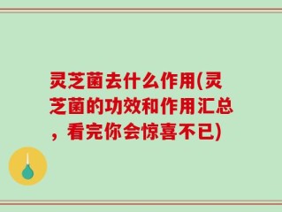 灵芝菌去什么作用(灵芝菌的功效和作用汇总，看完你会惊喜不已)