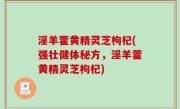 淫羊藿黄精灵芝枸杞(强壮健体秘方，淫羊藿黄精灵芝枸杞)
