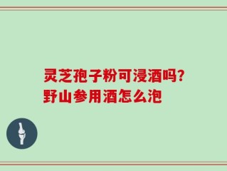 灵芝孢子粉可浸酒吗？野山参用酒怎么泡