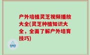 户外培植灵芝视频播放大全(灵芝种植知识大全，全面了解户外培育技巧)