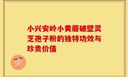 小兴安岭小黄蘑破壁灵芝孢子粉的独特功效与珍贵价值