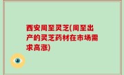 西安周至灵芝(周至出产的灵芝药材在市场需求高涨)