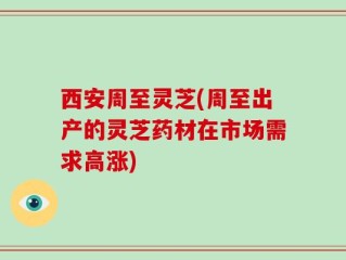 西安周至灵芝(周至出产的灵芝药材在市场需求高涨)