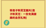 带孢子粉灵芝图片(孢子粉灵芝：一份充满健康的自然礼物)