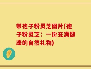 带孢子粉灵芝图片(孢子粉灵芝：一份充满健康的自然礼物)