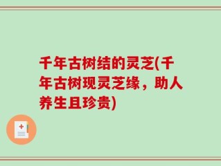 千年古树结的灵芝(千年古树现灵芝缘，助人养生且珍贵)