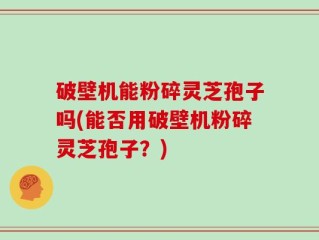 破壁机能粉碎灵芝孢子吗(能否用破壁机粉碎灵芝孢子？)