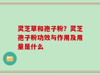 灵芝草和孢子粉？灵芝孢子粉功效与作用及用量是什么