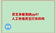 灵芝多糖发酵ppt？人工养殖灵芝打农药吗
