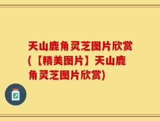 天山鹿角灵芝图片欣赏(【精美图片】天山鹿角灵芝图片欣赏)