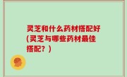 灵芝和什么药材搭配好(灵芝与哪些药材最佳搭配？)