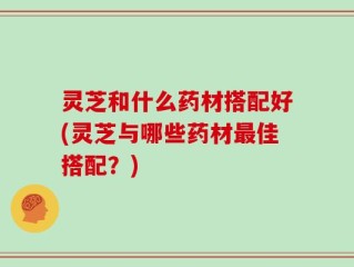 灵芝和什么药材搭配好(灵芝与哪些药材最佳搭配？)
