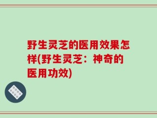 野生灵芝的医用效果怎样(野生灵芝：神奇的医用功效)