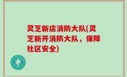 灵芝新店消防大队(灵芝新开消防大队，保障社区安全)