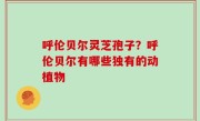 呼伦贝尔灵芝孢子？呼伦贝尔有哪些独有的动植物