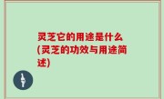 灵芝它的用途是什么 (灵芝的功效与用途简述)