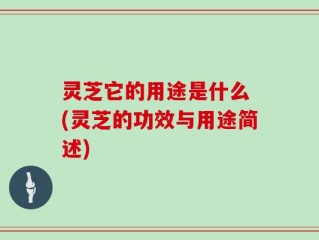 灵芝它的用途是什么 (灵芝的功效与用途简述)