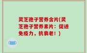 灵芝孢子营养含片(灵芝孢子营养素片：促进免疫力，抗衰老！)