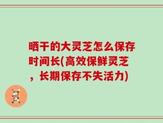 晒干的大灵芝怎么保存时间长(高效保鲜灵芝，长期保存不失活力)
