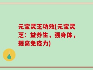 元宝灵芝功效(元宝灵芝：益养生，强身体，提高免疫力)