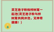 灵芝孢子粉和桦树茸一起泡(灵芝孢子粉与桦树茸共同冲泡，又神奇健康！)