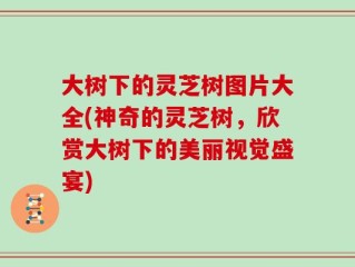 大树下的灵芝树图片大全(神奇的灵芝树，欣赏大树下的美丽视觉盛宴)
