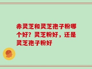 赤灵芝和灵芝孢子粉哪个好？灵芝粉好，还是灵芝孢子粉好