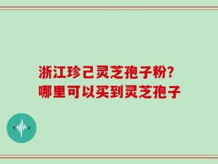 浙江珍己灵芝孢子粉？哪里可以买到灵芝孢子