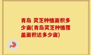青岛 灵芝种植面积多少亩(青岛灵芝种植覆盖面积达多少亩)