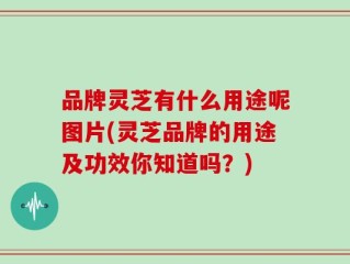 品牌灵芝有什么用途呢图片(灵芝品牌的用途及功效你知道吗？)