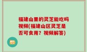 福建山里的灵芝能吃吗视频(福建山区灵芝是否可食用？视频解答)