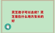 灵芝孢子可以去疣？灵芝是在什么地方生长的好