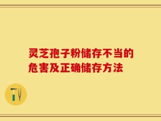 灵芝孢子粉储存不当的危害及正确储存方法